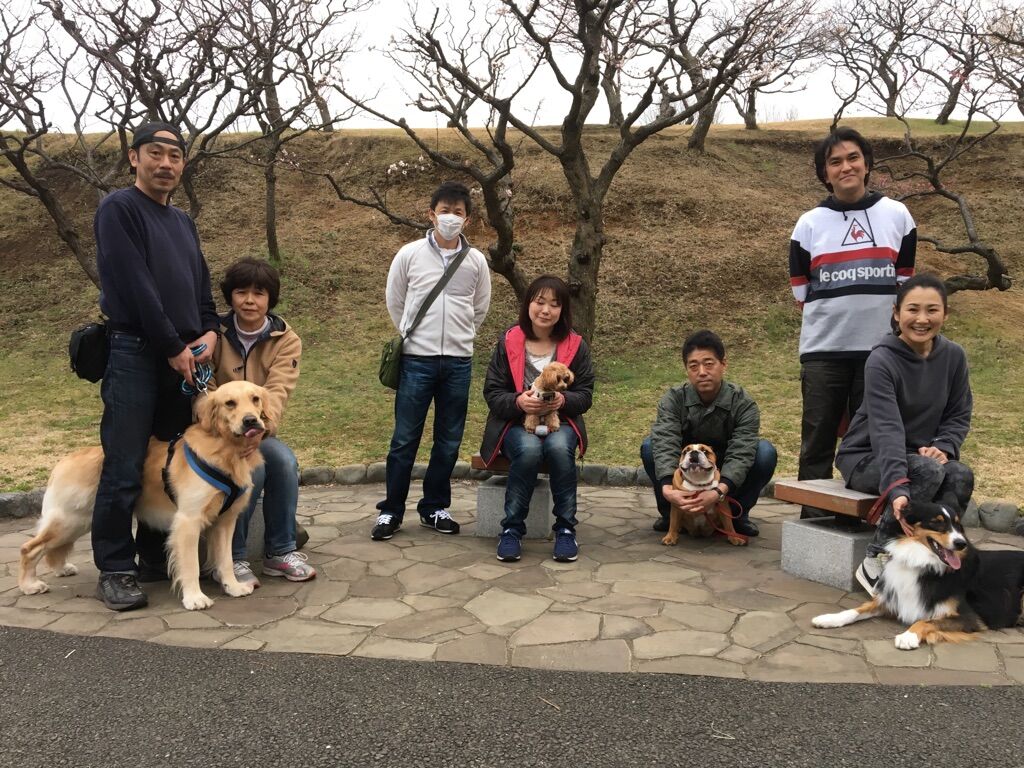 横浜市の犬のしつけレッスン/今日のわん子達