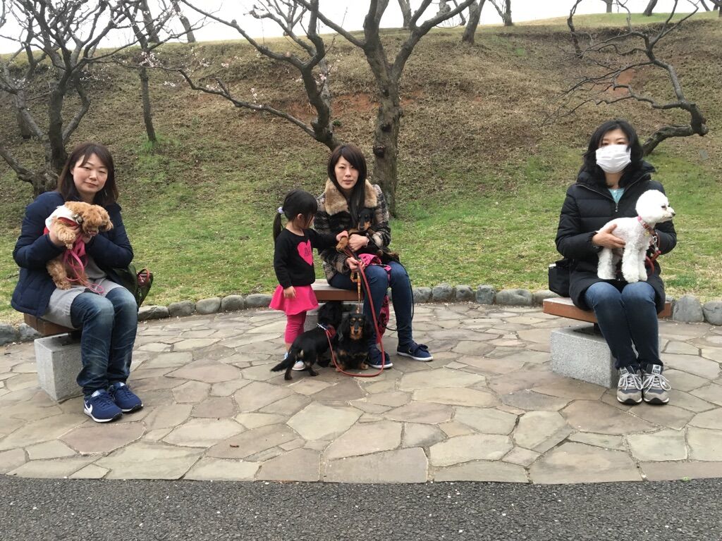 横浜市の犬のしつけレッスン/今日のわん子達