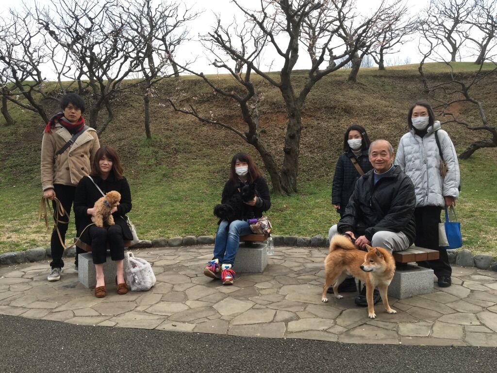 横浜市の犬のしつけレッスン/今日のわん子達