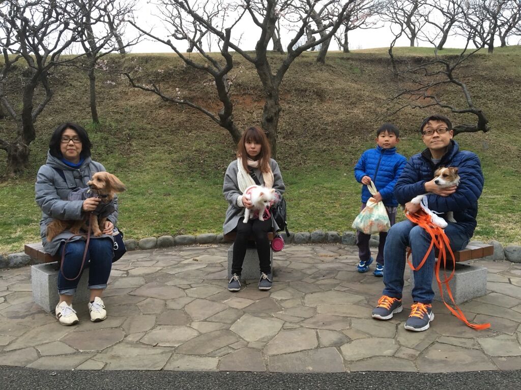 横浜市の犬のしつけレッスン/今日のわん子達