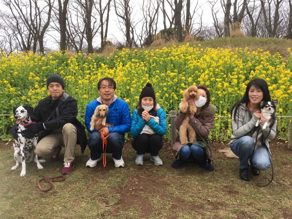 横浜市の犬のしつけレッスン/今日のわん子達