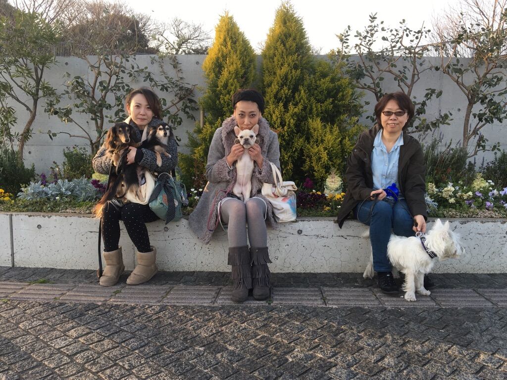 横浜市の犬のしつけレッスン/今日のわん子達
