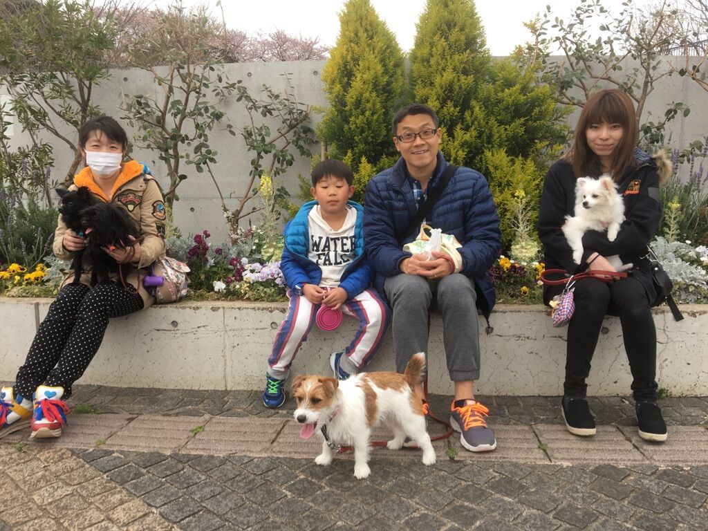 横浜市の犬のしつけレッスン/今日のわん子達