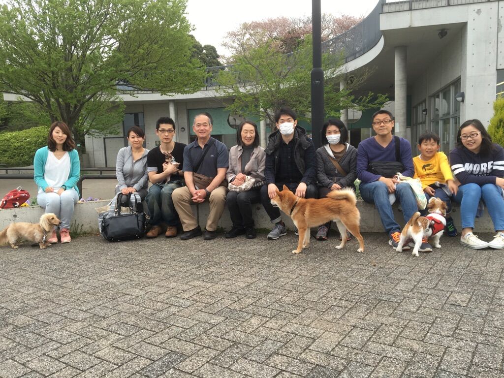 横浜市の犬のしつけレッスン/今日のわん子達
