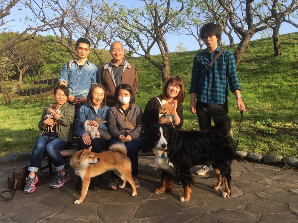 横浜市の犬のしつけレッスン/今日のわん子達