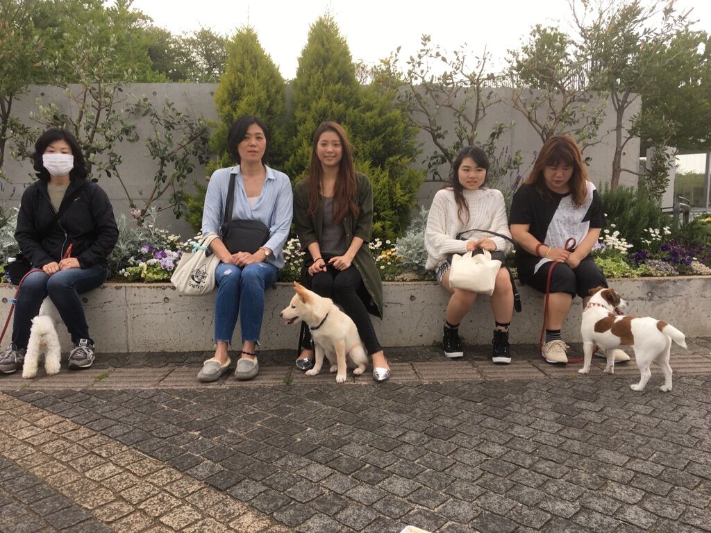 横浜市の犬のしつけレッスン/今日のわん子達