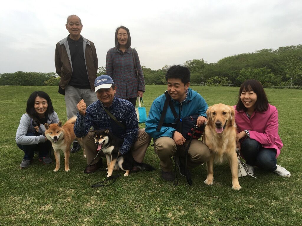 横浜市の犬のしつけレッスン/今日のわん子達