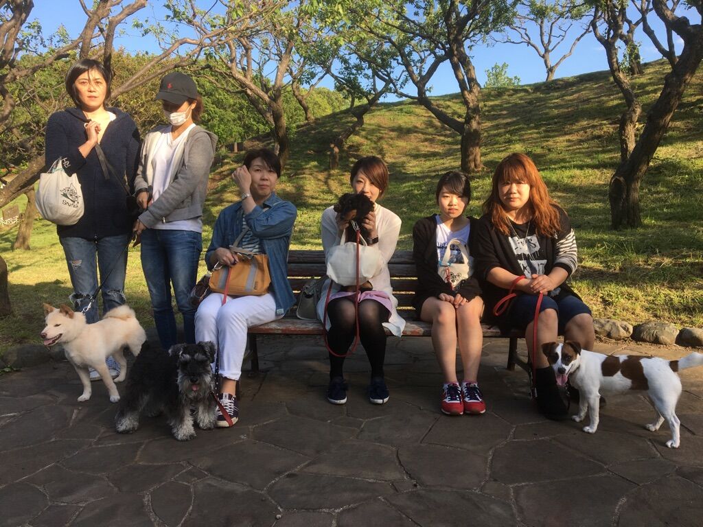 横浜市の犬のしつけレッスン/今日のわん子達