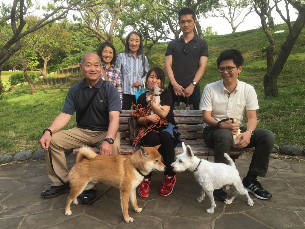 横浜市の犬のしつけレッスン/今日のわん子達
