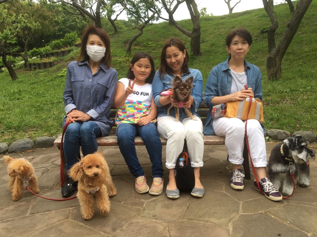 横浜市の犬のしつけレッスン/今日のわん子達