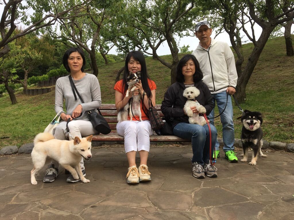 横浜市の犬のしつけレッスン/今日のわん子達