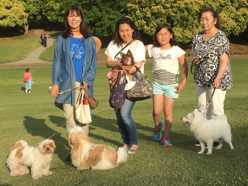 横浜市の犬のしつけレッスン/今日のわん子達