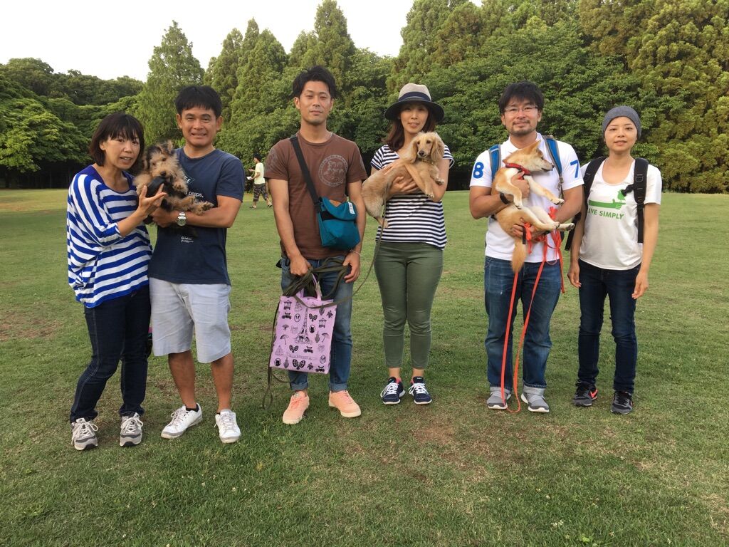 横浜市の犬のしつけレッスン/今日のわん子達