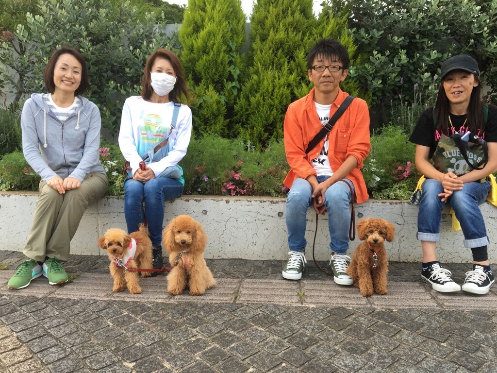 横浜市の犬のしつけレッスン/今日のわん子達。