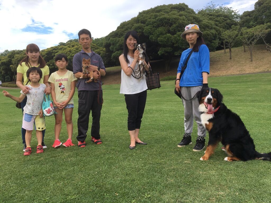 横浜市の犬のしつけレッスン/今日のわん子達