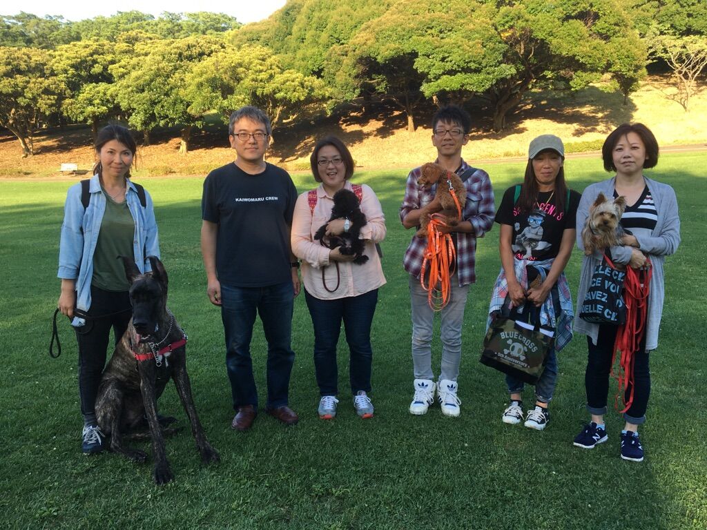 横浜市の犬のしつけレッスン/今日のわん子達
