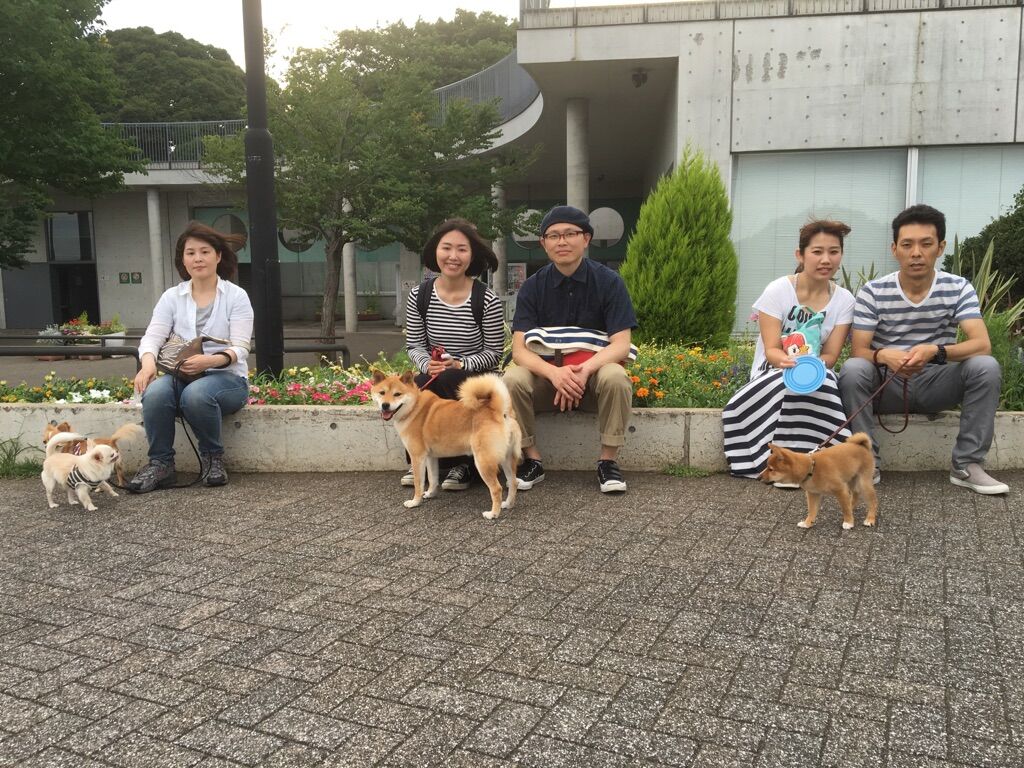横浜市の犬のしつけレッスン/今日のわん子達
