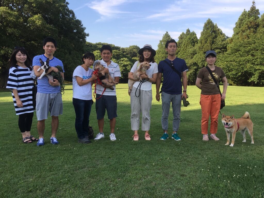 横浜市の犬のしつけレッスン/今日のわん子達