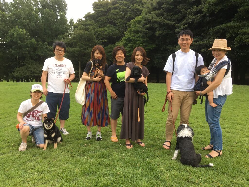 横浜市の犬のしつけレッスン/今日のわん子達