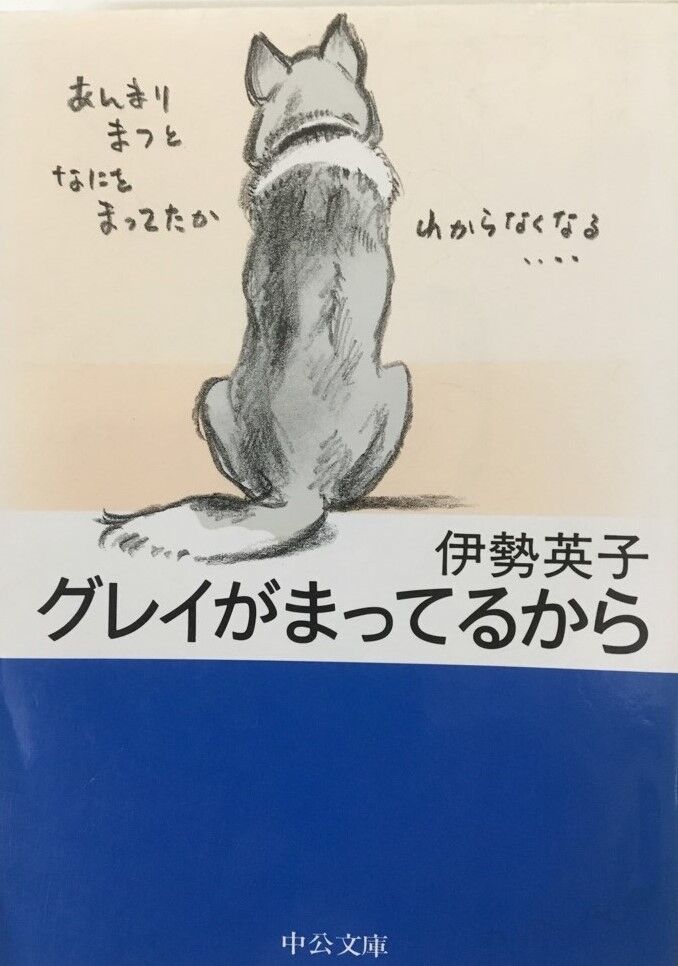 横浜市の犬のしつけレッスン/書籍紹介～グレイがまってるから～