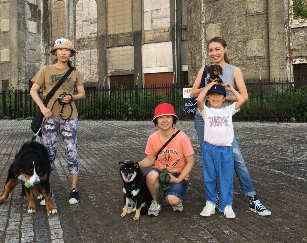 横浜市の犬のしつけレッスン/今日のわん子達。