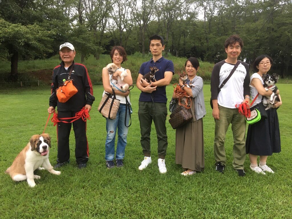 横浜市の犬のしつけレッスン/今日のわん子達