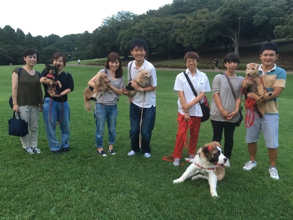 横浜市の犬のしつけレッスン/今日のわん子達