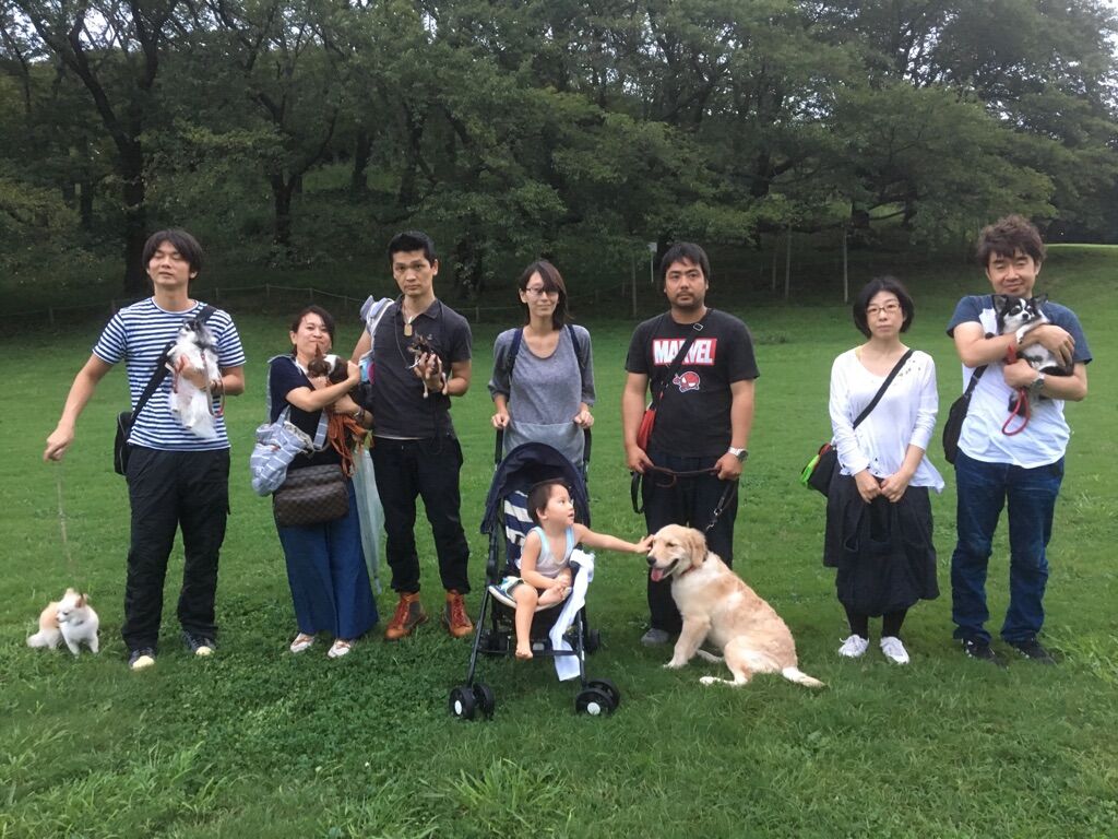 横浜市の犬のしつけレッスン/今日のわん子達