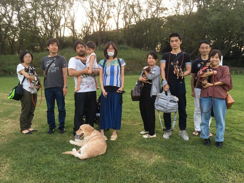 横浜市の犬のしつけレッスン/今日のわん子達