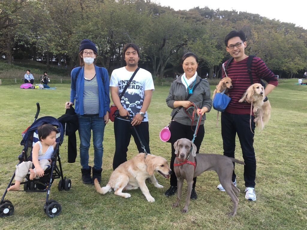 横浜市の犬のしつけレッスン/今日のわん子達
