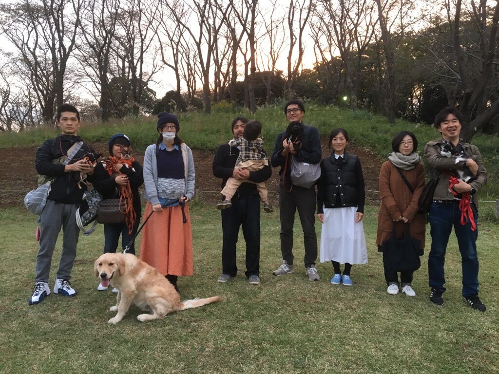 横浜市の犬のしつけレッスン/今日のわん子達