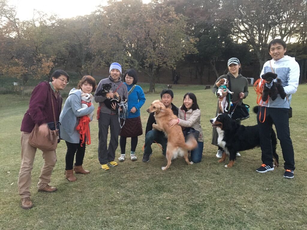 横浜市の犬のしつけレッスン/今日のわん子達