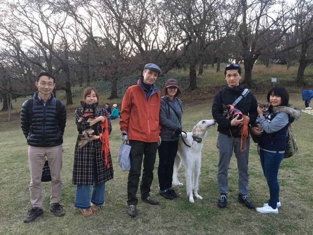 横浜市の犬のしつけレッスン/今日のわん子達