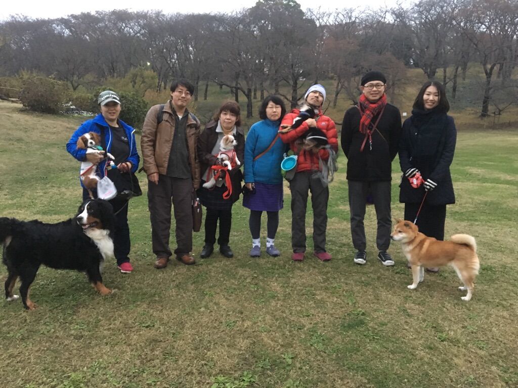 横浜市の犬のしつけレッスン/今日のわん子達