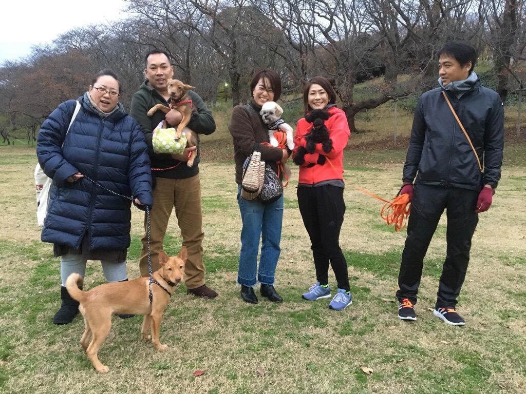 横浜市の犬のしつけレッスン/今日のわん子達