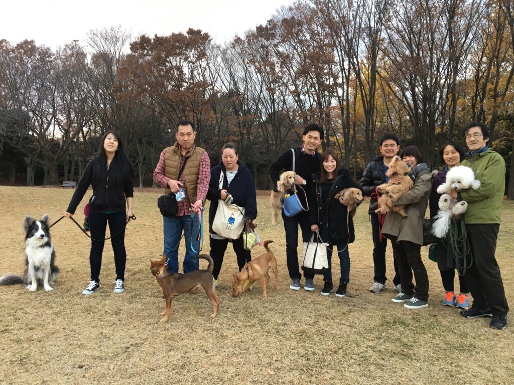 横浜市の犬のしつけレッスン/今日のわん子達