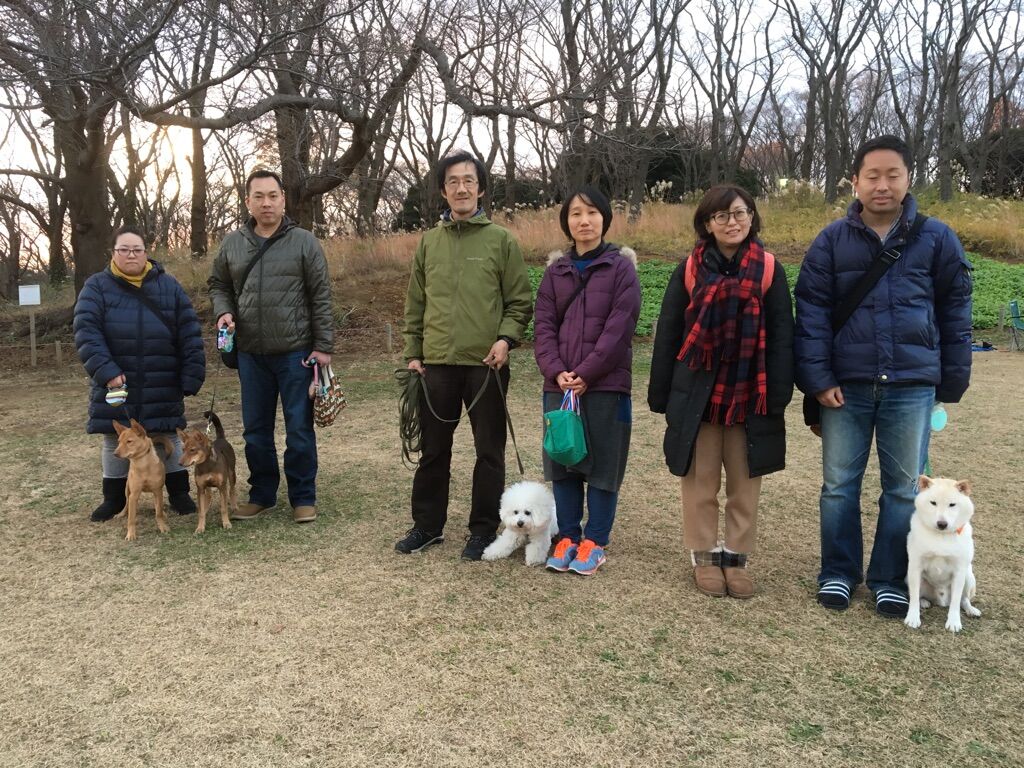 横浜市の犬のしつけレッスン/今日のわん子達