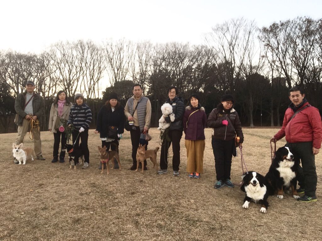 横浜市の犬のしつけレッスン/今日のわん子達　