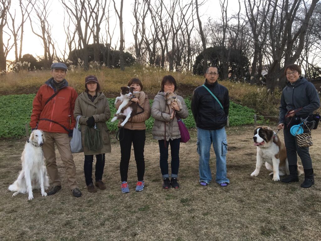 横浜市の犬のしつけレッスン/今日のわん子達