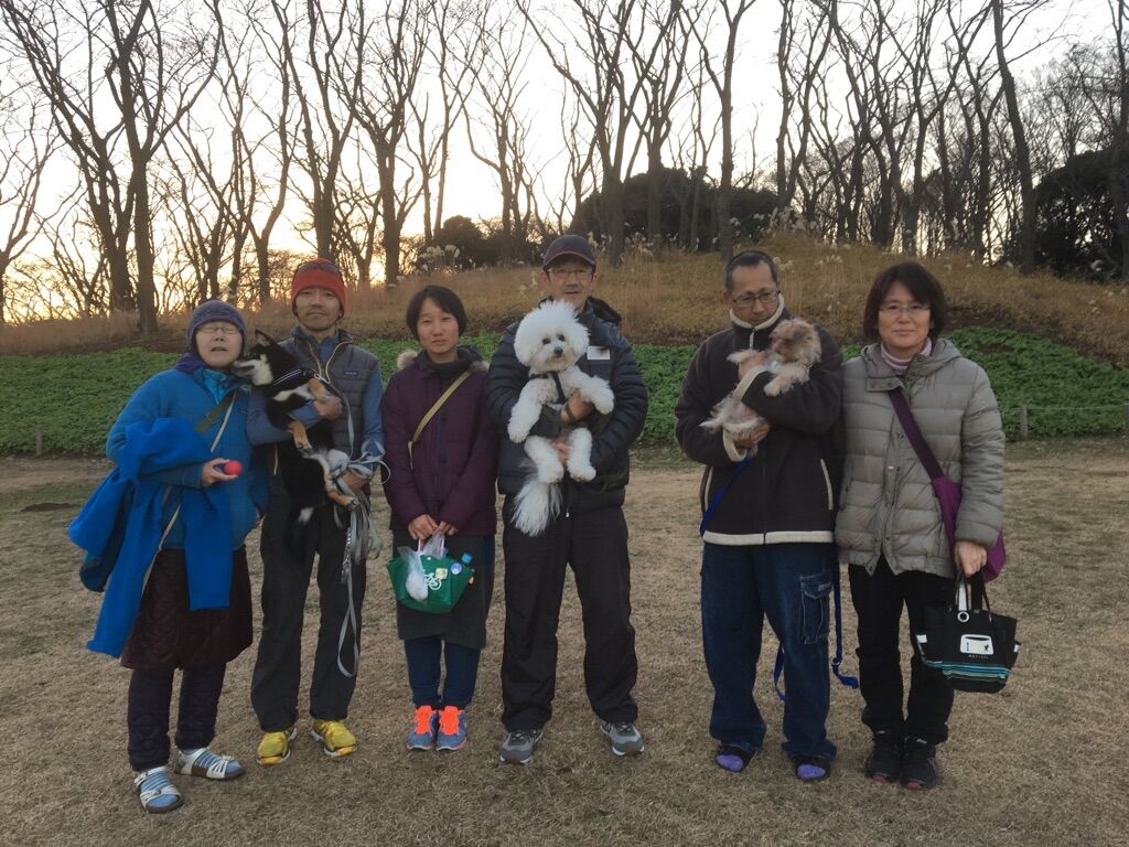 横浜市の犬のしつけレッスン/今日のわん子達