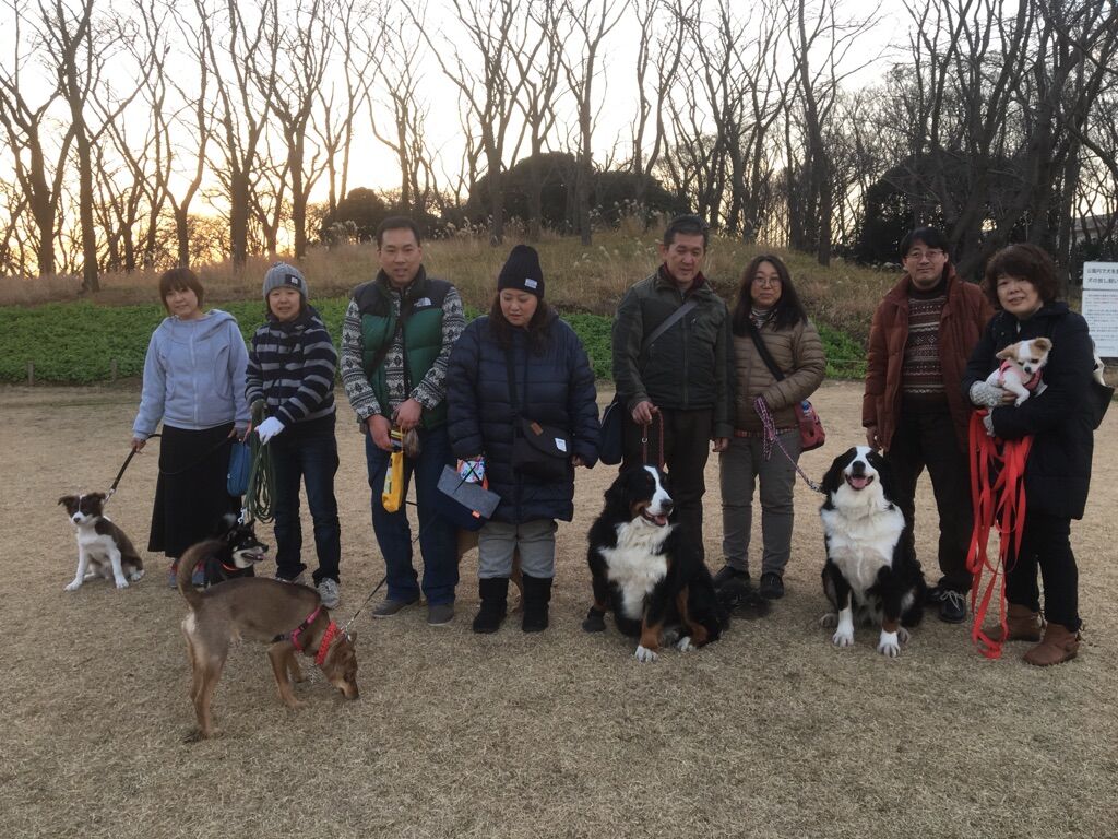 横浜市の犬のしつけレッスン/今日のわん子達