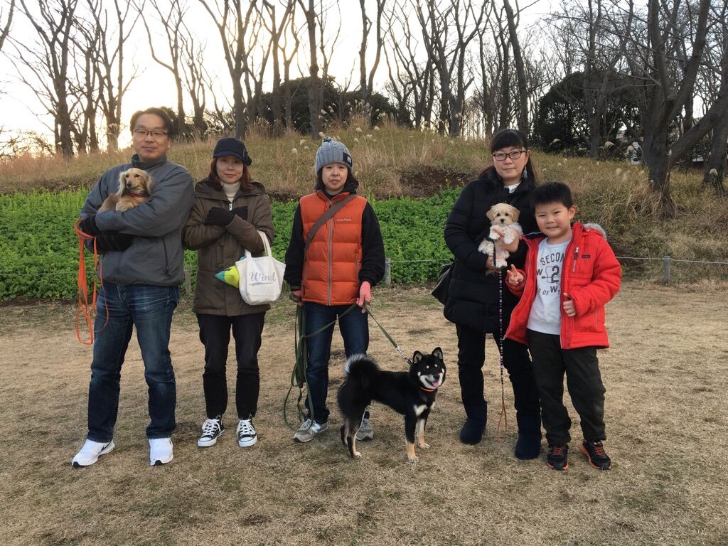 横浜市の犬のしつけレッスン/今日のわん子達