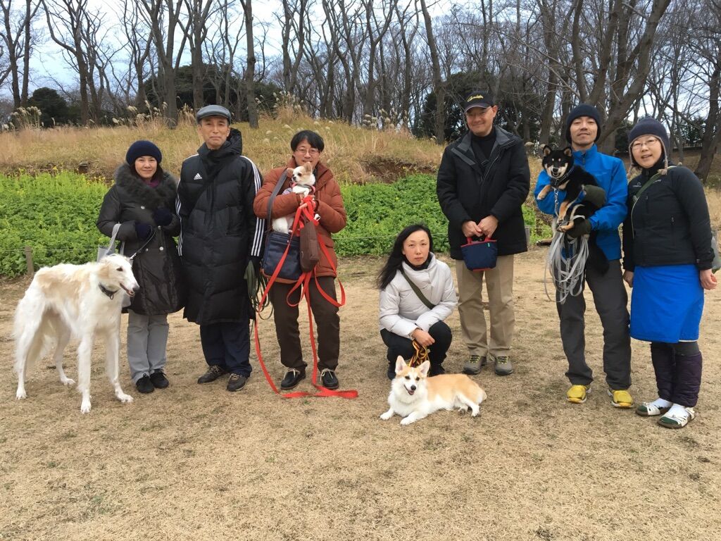 横浜市の犬のしつけレッスン/今日のわん子達