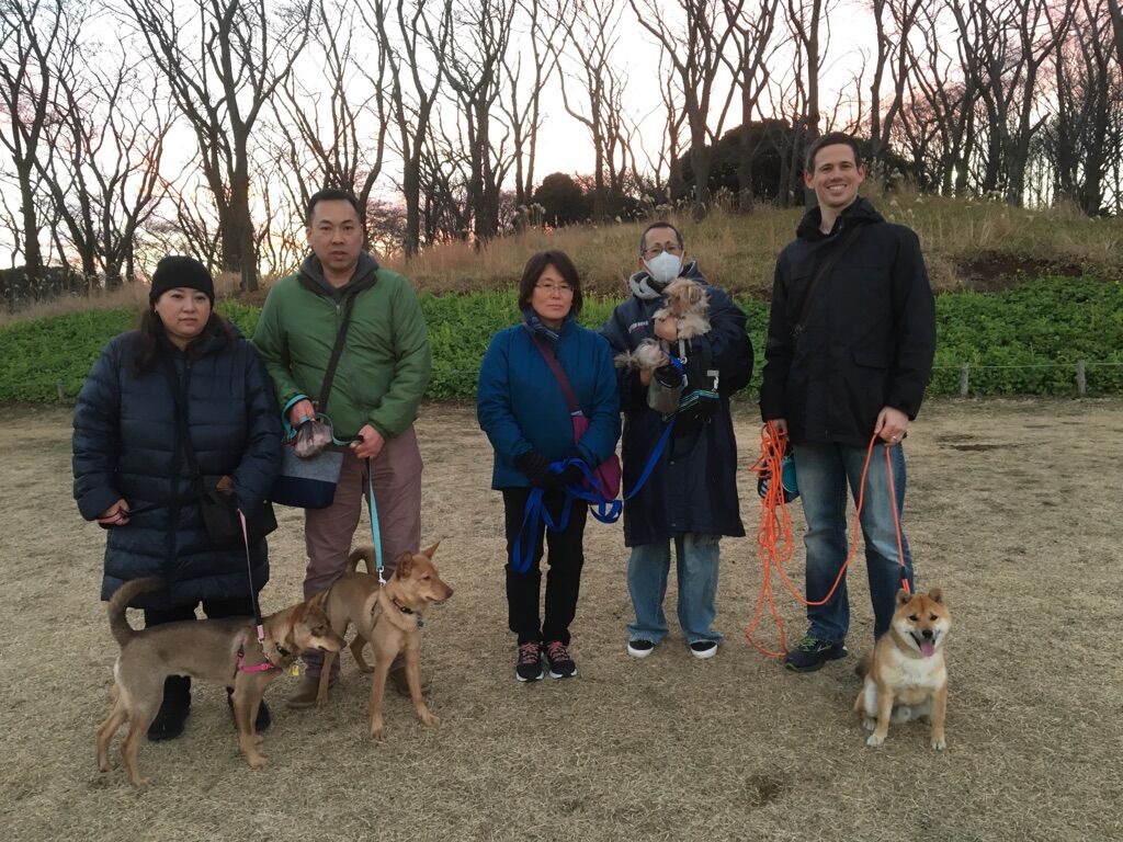 横浜市の犬のしつけレッスン/今日のわん子達