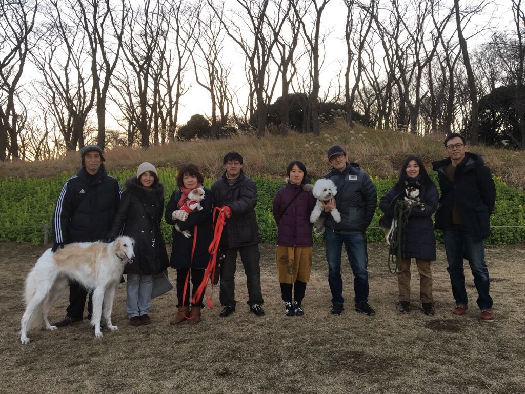 横浜市の犬のしつけレッスン/今日のわん子達