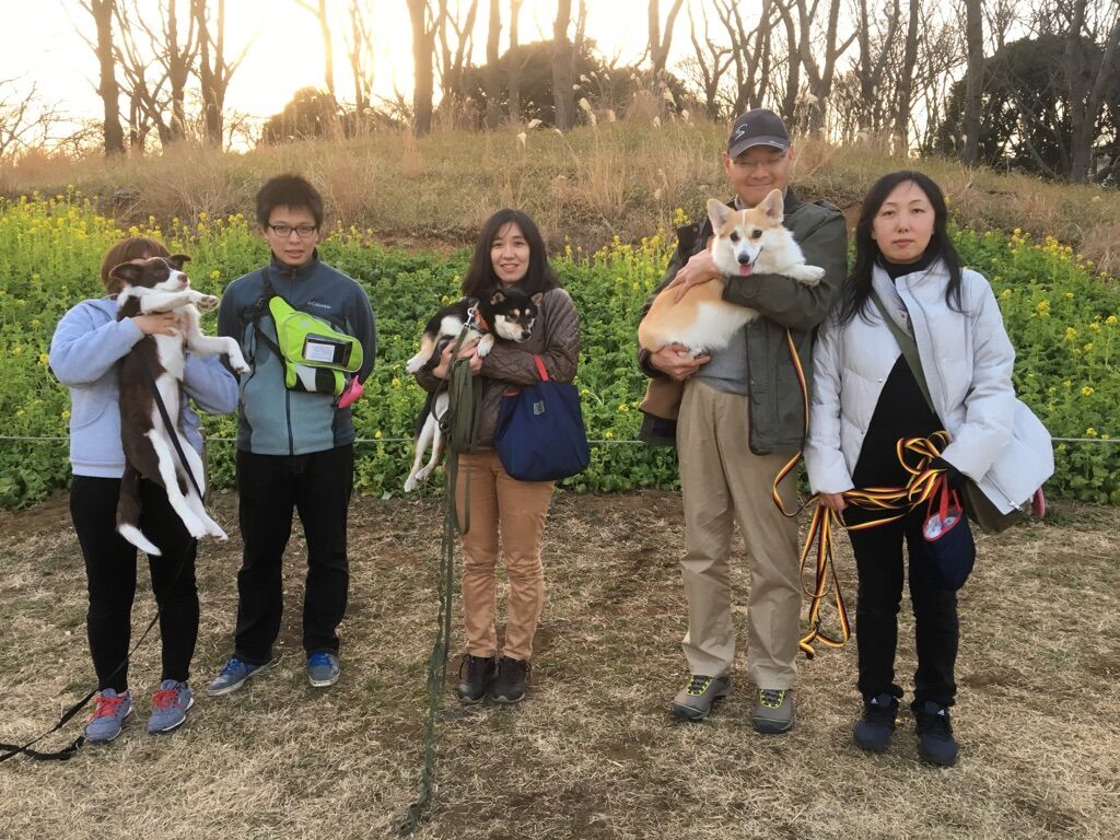 横浜市の犬のしつけレッスン/今日のわん子達