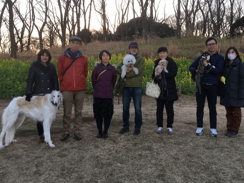 横浜市の犬のしつけレッスン/今日のわん子達