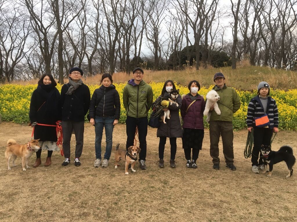 横浜市の犬のしつけレッスン/今日のわん子達
