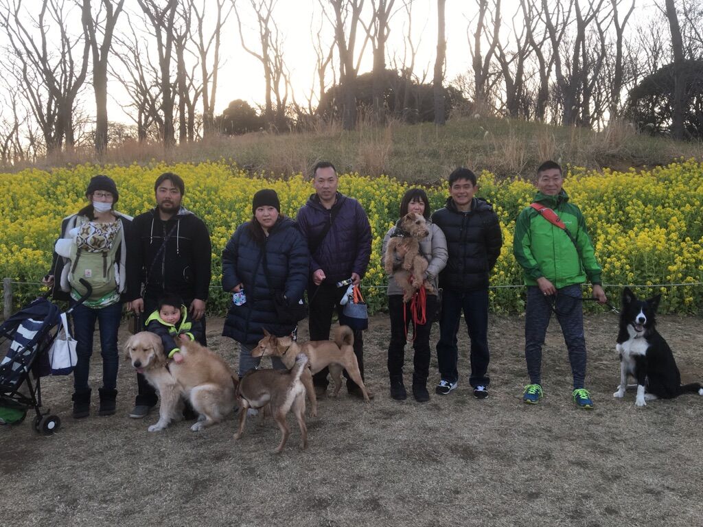 横浜市の犬のしつけレッスン/今日のわん子達