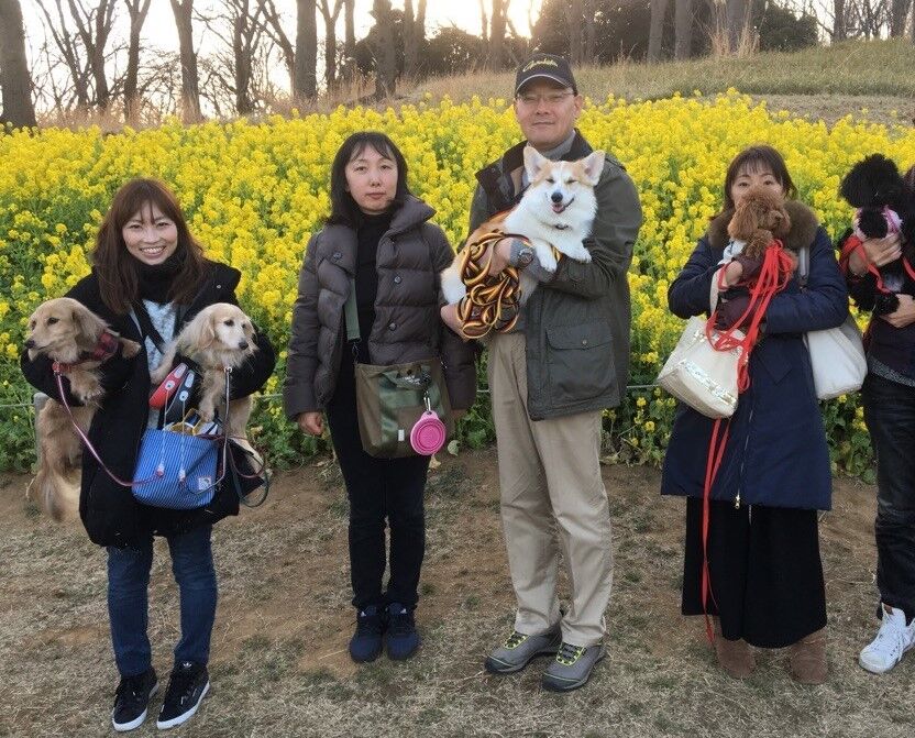横浜市の犬のしつけレッスン/今日のわん子達